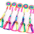 New Adjustable Pet Towing Rope