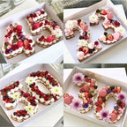 PET digital cake mould