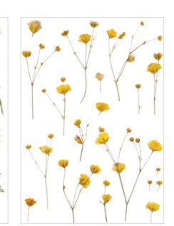 Pet flat sheet sticker