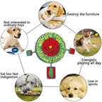 Rose Pocket Pet Sniffing Mat