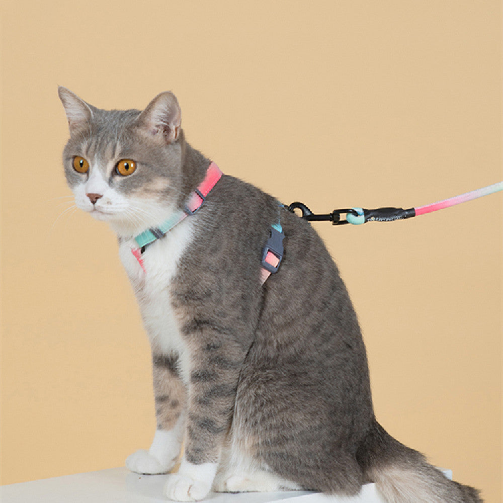 Pet Anti Breakaway Traction Rope