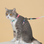 Pet Anti Breakaway Traction Rope